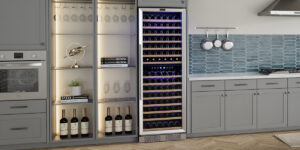 best dual zone wine fridges