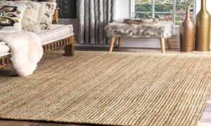 Why Are Jute Carpets Very Popular These Days