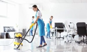 Professional Housekeeping Services