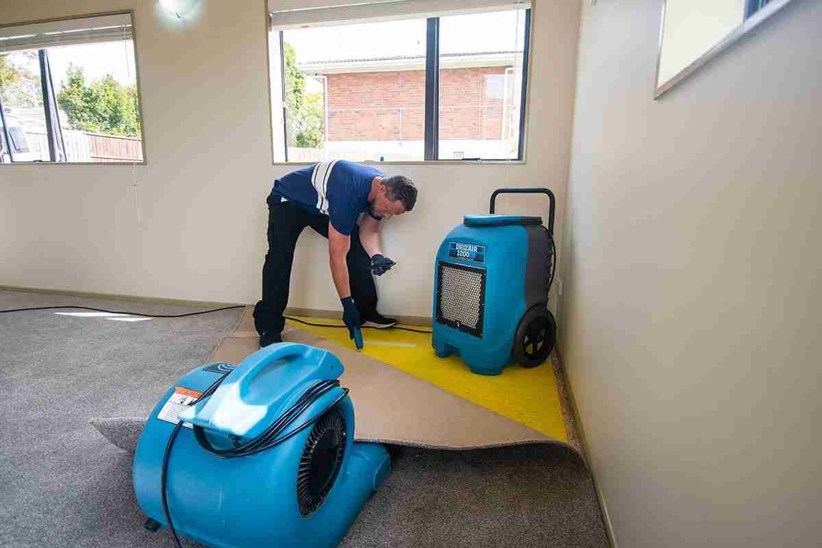 Fast and Effective Flood Restoration Solutions