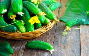 Discover the Joy of Planting Lemon Cucumber Seeds