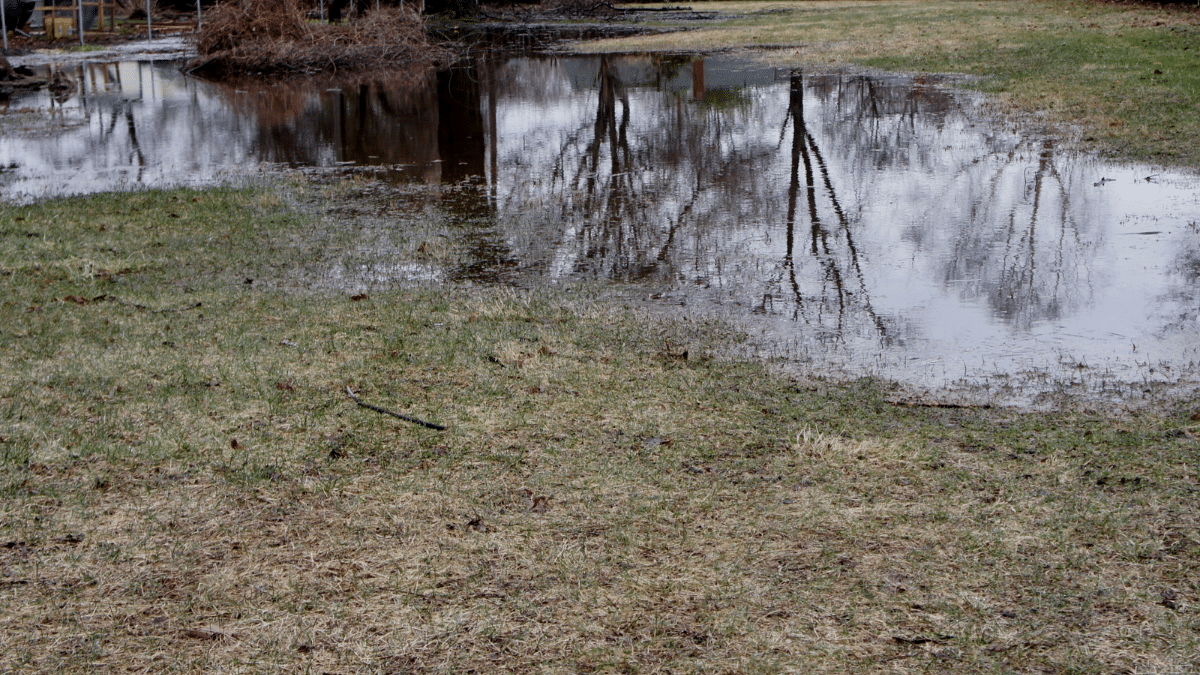 What Happens to Your Septic System During Heavy Rain and Flooding?