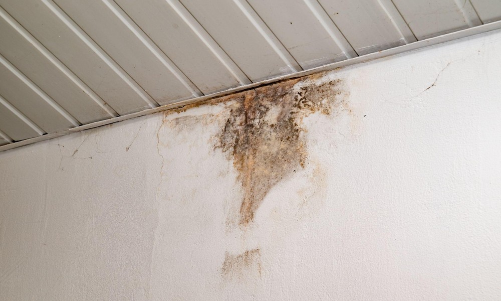 5 Causes of Ceiling Leaks That Require a Waterproofing Specialist