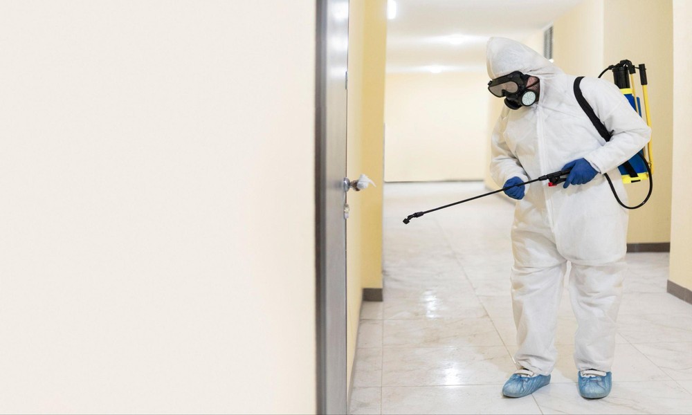 6 Indicators Your Bed Bug Problem Needs Immediate Pest Control Service