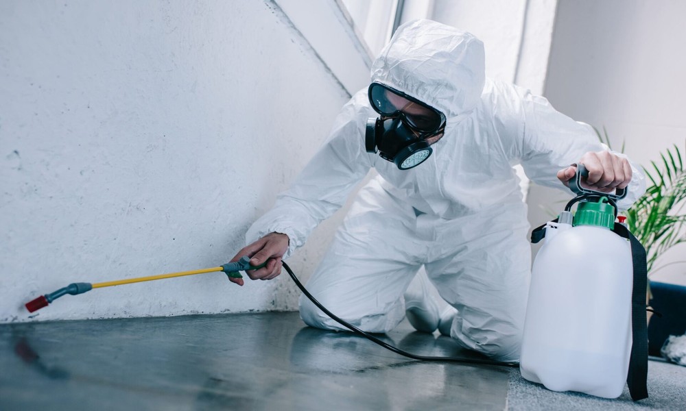 7 Early Warning Signs of Termite Infestation You Should Never Ignore
