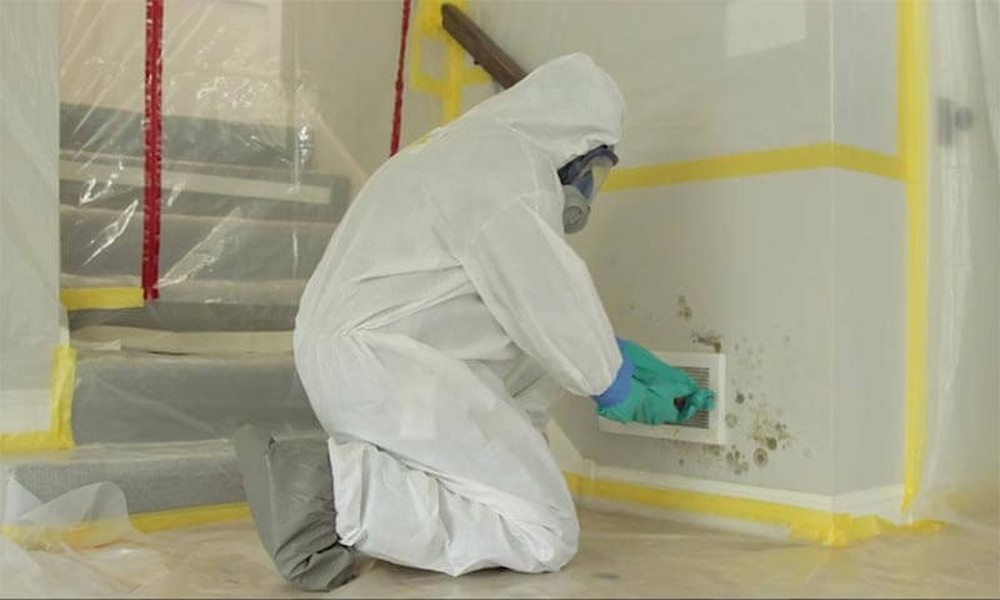 Mold Remediation in Sandy Springs, GA: What Every Homeowner Should Know Before It’s Too Late