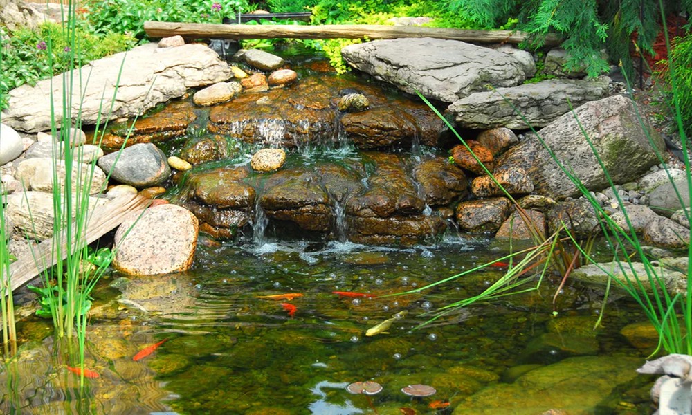 Koi Pond Filtration: A Comprehensive Overview of Pond Filtration Systems