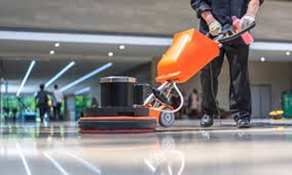 Professional Carpet Cleaning Services That Refresh and Restore Your Floors