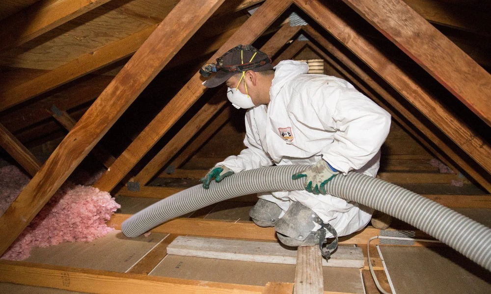 The Hidden Costs of Ignoring Attic Contamination and When to Replace Insulation