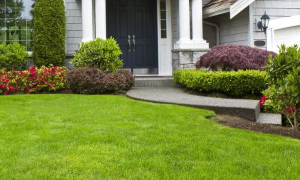 5 Ways a Residential Landscape Company Can Transform Your Property