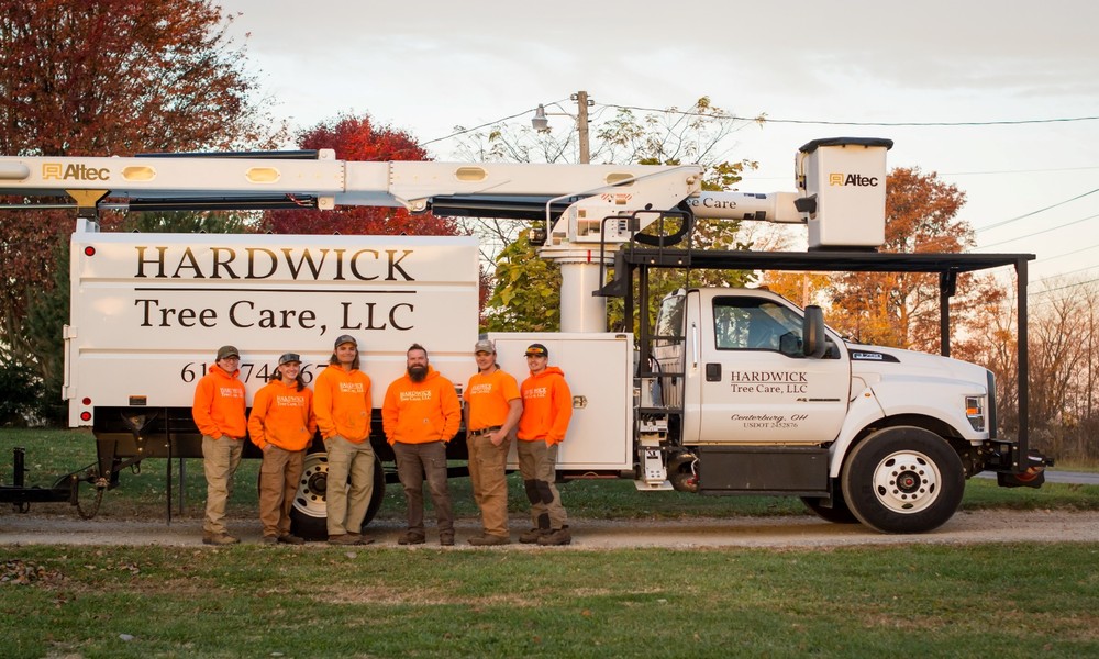 Tree Service Mount Vernon Ohio and Stump Removal Near Me