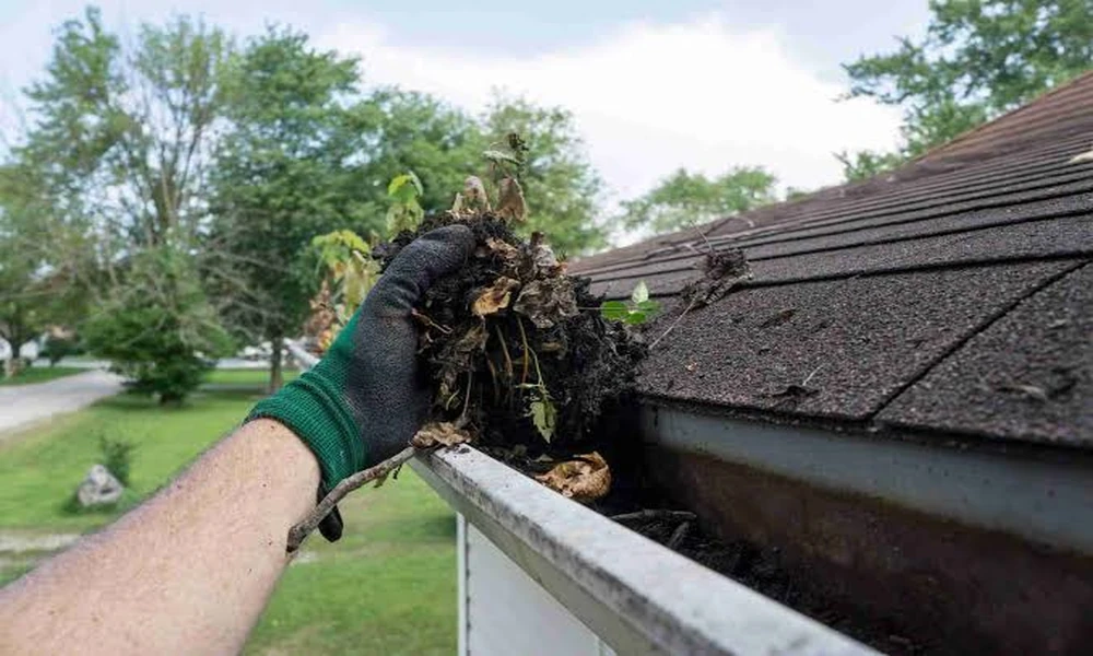 Best Gutter Cleaning Service in Kansas City